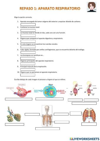 Repaso 1: aparato respiratorio