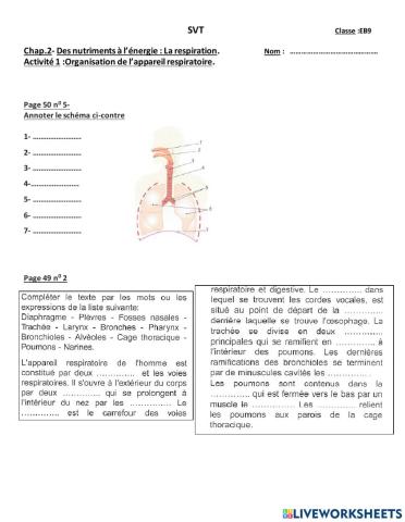 Appareil respiratoire