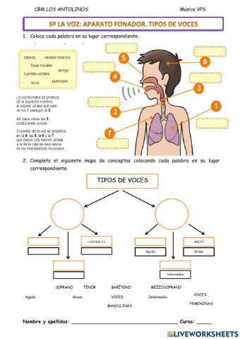 6º La voz, tipos de voces y agrupaciones vocales.