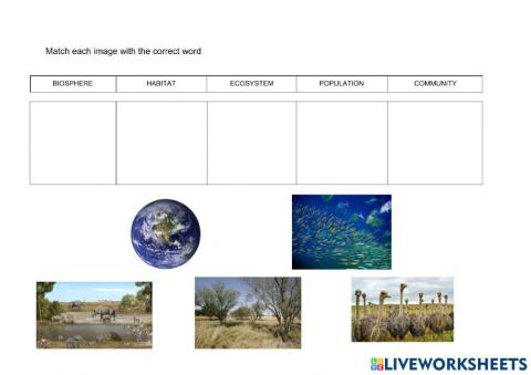 Biosphere, habitat, ecosystem, community and population