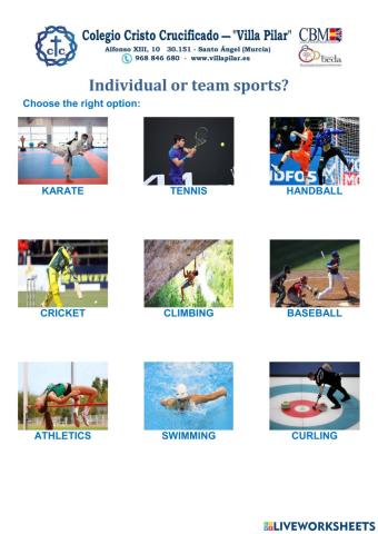 Individual vs team sports