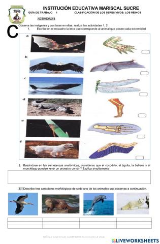 Clasificación