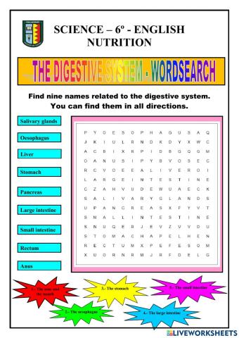 Nutrition - digestive system