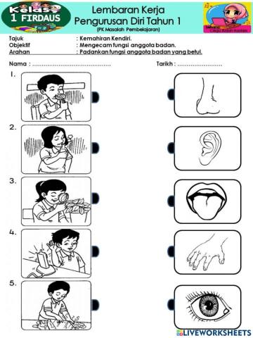 Mengenal bahagian anggota badan