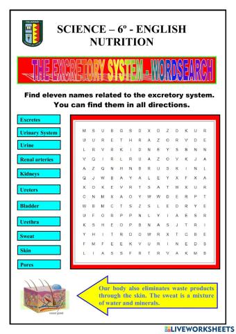 Nutrition - excrettory system