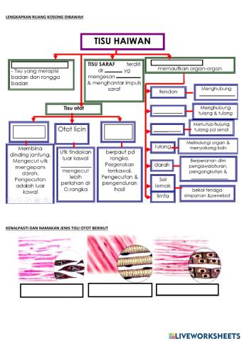 BAB 2:Biologi sel dan Organisasi Sel