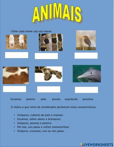 Animais vertebrados