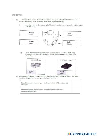 Latihan Sains Tingkatan 3 KSSM (lidah)