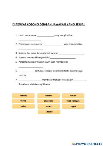 Sistem reproduktif tahun 5