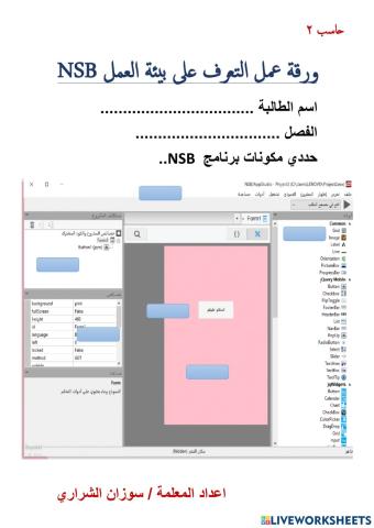 التعرف على بيئة العمل nsb