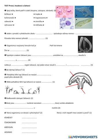 Test Prvoci, Houbovci, Žahavci