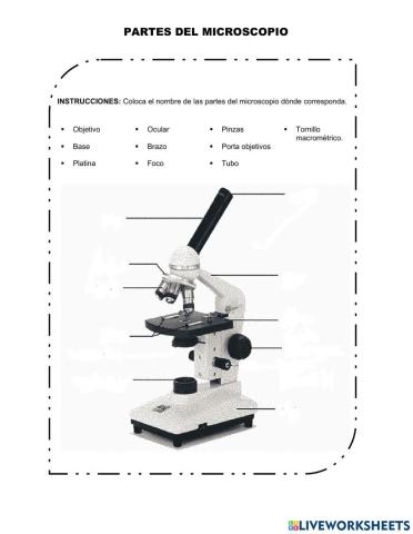 Partes del microscopio