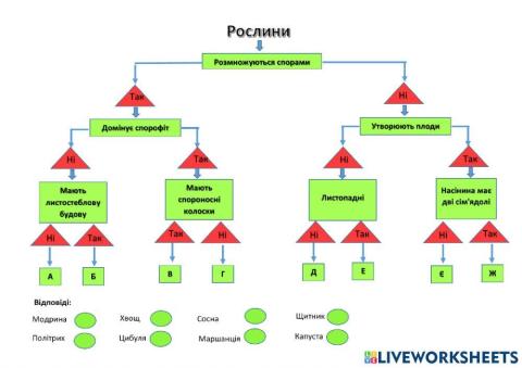 Різноманітнісність рослин