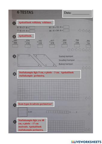 Matematikos testas Nr.6. 