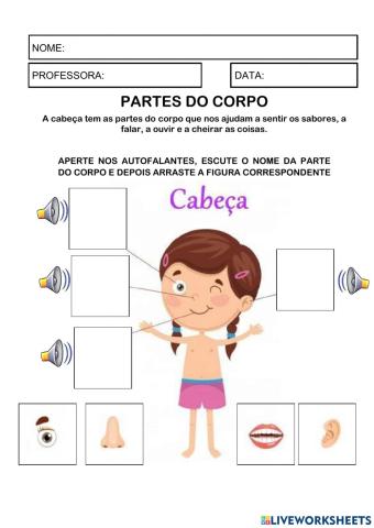 Partes do corpo: Cabeça, tronco e membros