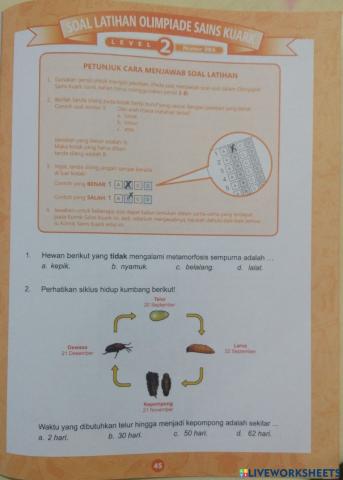 Latihan KUARK Seri 4