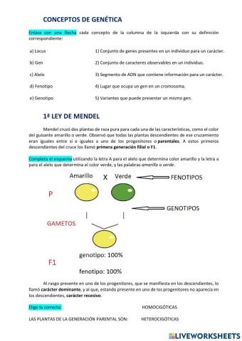 Conceptos de genética y LEYES DE MENDEL