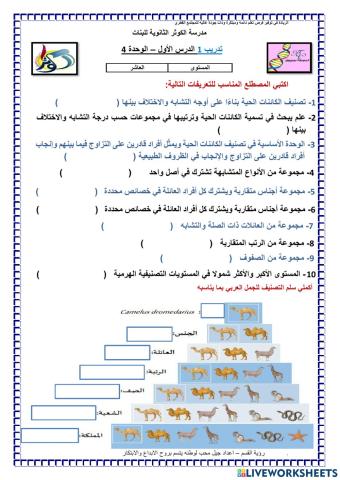 تدريب 1 الدرس 1 التصنيف