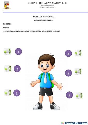 Prueba de diagnostico ccnn