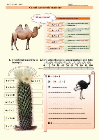 Cazuri speciale de impartire