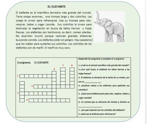 Lectura.  el elefante