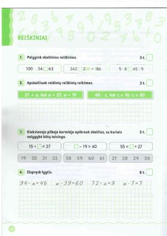 Matematikos testas