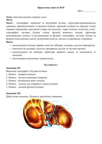 Практичне заняття №10