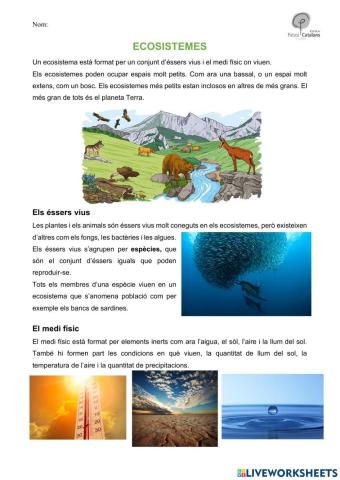 Els ecosistemes