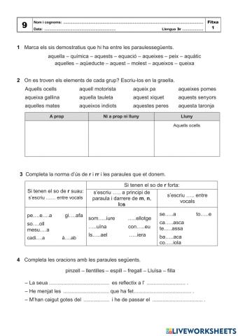 Tema 9 Llengua 3r primaria