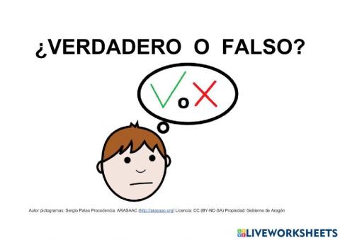 VERDADERO O FALSO (Lectura de frases)