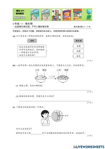 六年级科学 微生物 额外练习