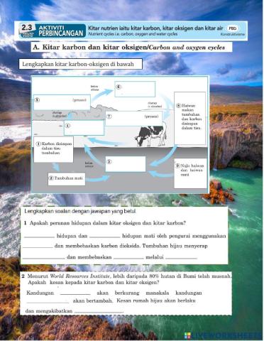 2.2 Kitar Nutrien dalam ekosistem