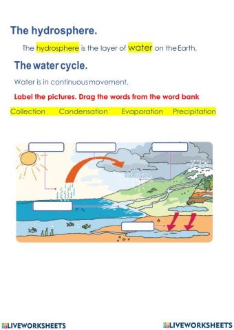 The hydrosphere