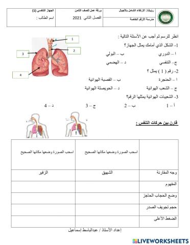 ورقة عمل الجهاز التنفسي مقارنة بين الشهيق والزفير