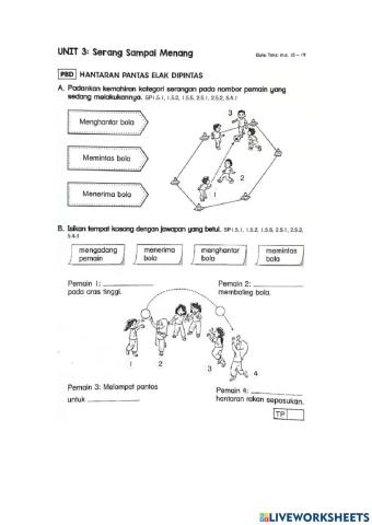 Pendidikan Jasamani Tahun3