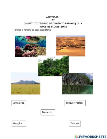 Tipos de Ecosistemas