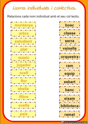 Noms individuals i col·lectiu