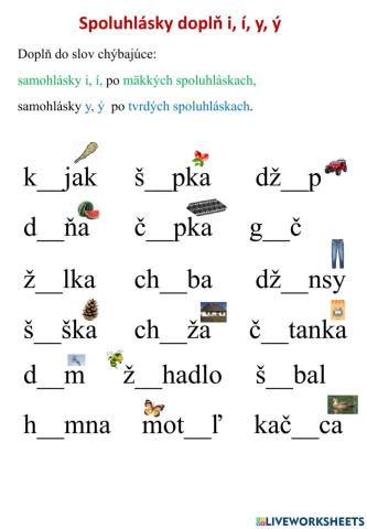 Spoluhlásky doplň i, í, y, ý - tvrdé a š,č,ž,dž