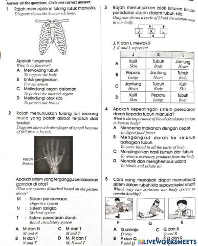 Unit 2 manusia