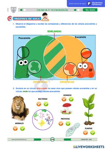 Célula procariota y eucariota