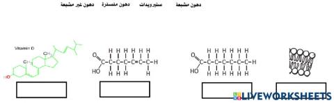 انواع الدهون