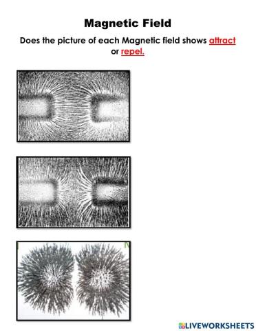 Magnetic Field