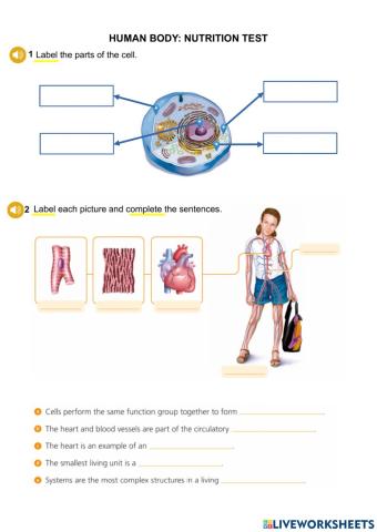 Nutrition test