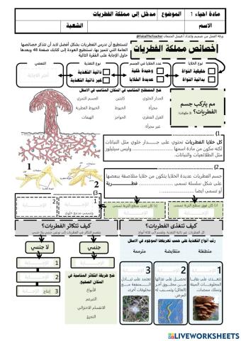 مدخل إلى مملكة الفطريات