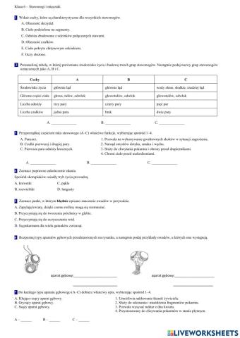Klasa 6 - stawonogi i mięczaki