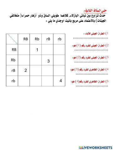 ورقة عمل- تزاوج ثنائي التهجين