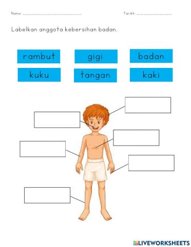 Anggota Kebersihan Badan