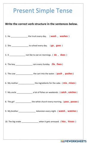 Grammar - Simple Present Tense