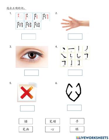 学写字 选词