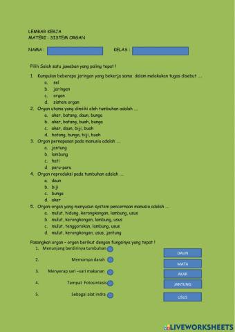 Lembar kerja sistem organ